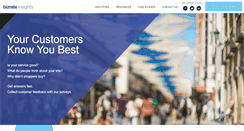 Desktop Screenshot of bizrateinsights.com